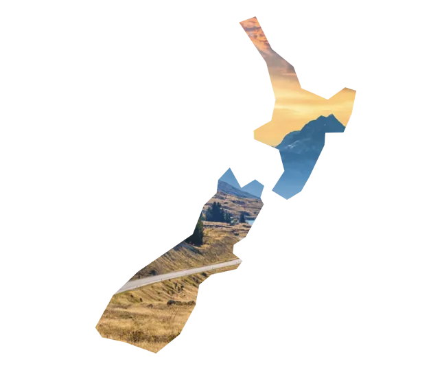 NZeTA online application